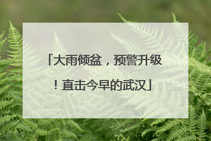 大雨倾盆，预警升级！直击今早的武汉