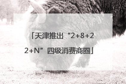 天津推出“2+8+22+N”四级消费商圈