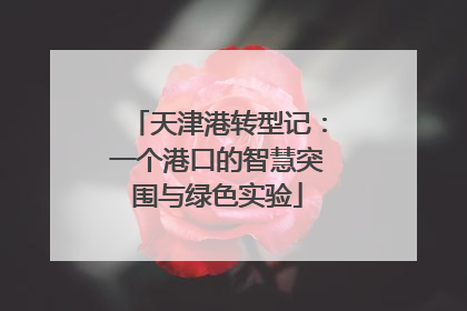 天津港转型记：一个港口的智慧突围与绿色实验