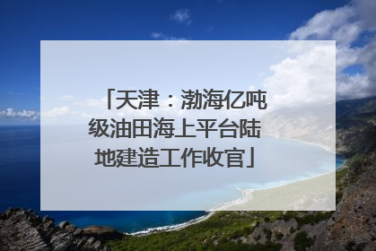 天津：渤海亿吨级油田海上平台陆地建造工作收官