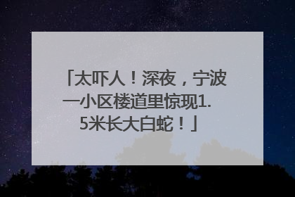 太吓人！深夜，宁波一小区楼道里惊现1.5米长大白蛇！