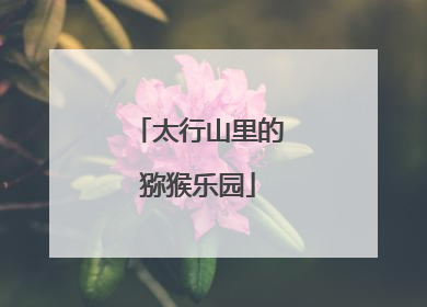 太行山里的猕猴乐园