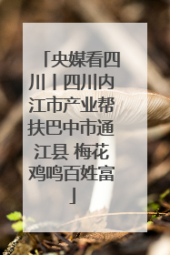央媒看四川丨四川内江市产业帮扶巴中市通江县 梅花鸡鸣百姓富
