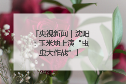 央视新闻｜沈阳：玉米地上演“虫虫大作战”