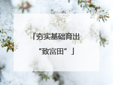夯实基础育出“致富田”