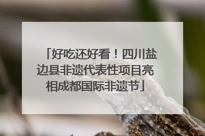 好吃还好看！四川盐边县非遗代表性项目亮相成都国际非遗节