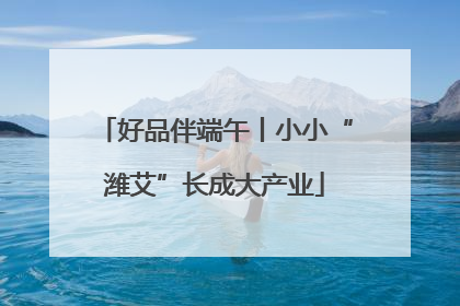 好品伴端午丨小小“潍艾”长成大产业