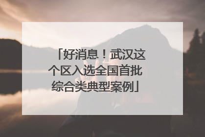 好消息！武汉这个区入选全国首批综合类典型案例