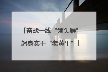 奋战一线“领头雁” 躬身实干“老黄牛”