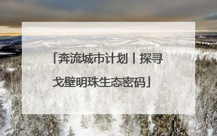 奔流城市计划丨探寻戈壁明珠生态密码