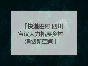 快递进村 四川宣汉大力拓展乡村消费新空间