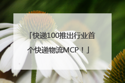 快递100推出行业首个快递物流MCP！