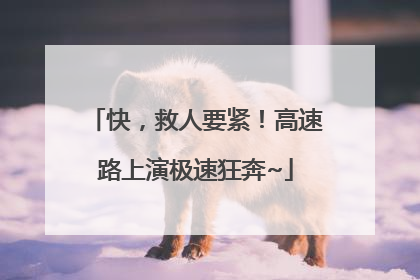 快，救人要紧！高速路上演极速狂奔~