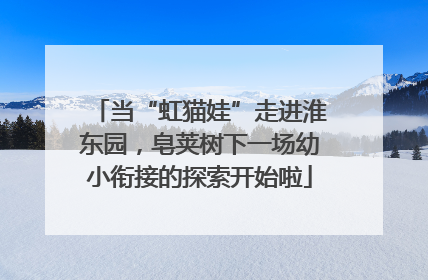 当“虹猫娃”走进淮东园，皂荚树下一场幼小衔接的探索开始啦