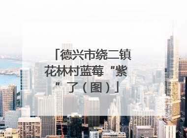 德兴市绕二镇花林村蓝莓“紫”了（图）
