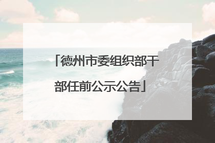 德州市委组织部干部任前公示公告