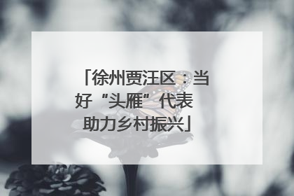 徐州贾汪区：当好“头雁”代表 助力乡村振兴