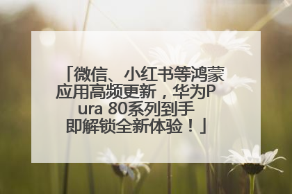 微信、小红书等鸿蒙应用高频更新，华为Pura 80系列到手即解锁全新体验！