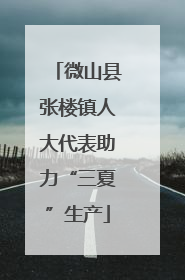 微山县张楼镇人大代表助力“三夏”生产