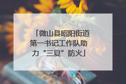 微山县昭阳街道第一书记工作队助力“三夏”防火