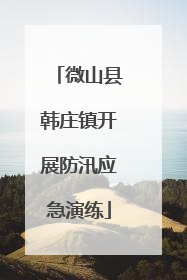 微山县韩庄镇开展防汛应急演练