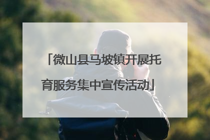 微山县马坡镇开展托育服务集中宣传活动