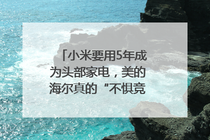 小米要用5年成为头部家电，美的海尔真的“不惧竞争”？｜热财经