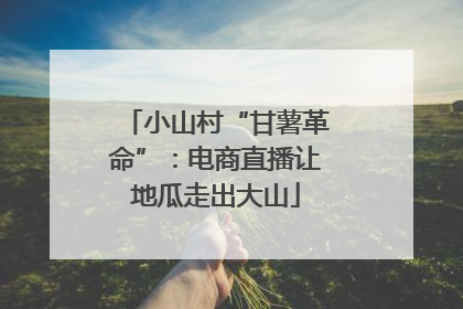 小山村“甘薯革命”：电商直播让地瓜走出大山