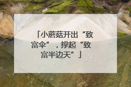 小蘑菇开出“致富伞”，撑起“致富半边天”