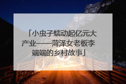 小虫子蠕动起亿元大产业——菏泽女老板李端端的乡村故事
