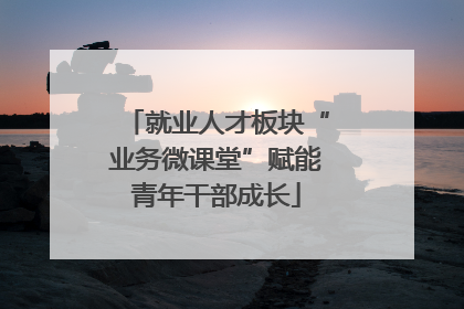 就业人才板块“业务微课堂”赋能青年干部成长