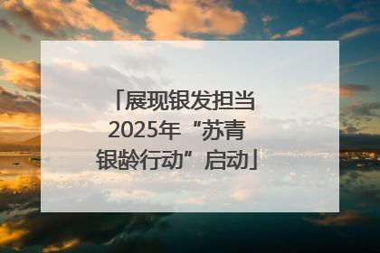 展现银发担当 2025年“苏青银龄行动”启动