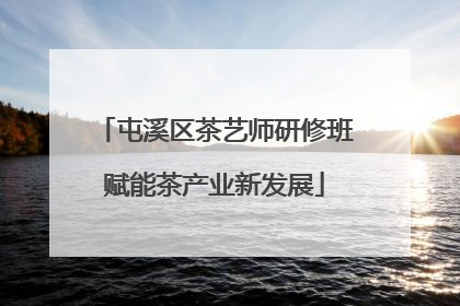 屯溪区茶艺师研修班赋能茶产业新发展