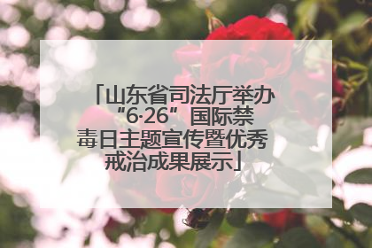 山东省司法厅举办“6·26”国际禁毒日主题宣传暨优秀戒治成果展示