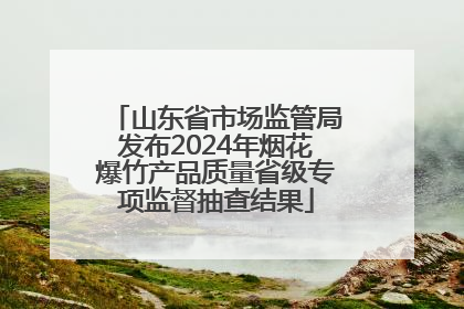 山东省市场监管局发布2024年烟花爆竹产品质量省级专项监督抽查结果
