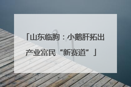 山东临朐：小鹅肝拓出产业富民“新赛道”