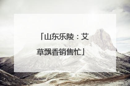 山东乐陵：艾草飘香销售忙