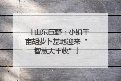 山东巨野：小镇千亩胡萝卜基地迎来“智慧大丰收”