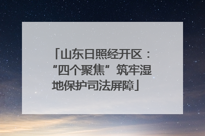 山东日照经开区：“四个聚焦”筑牢湿地保护司法屏障
