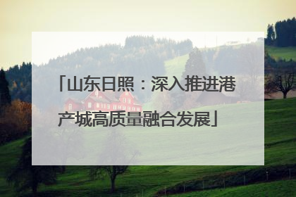 山东日照：深入推进港产城高质量融合发展