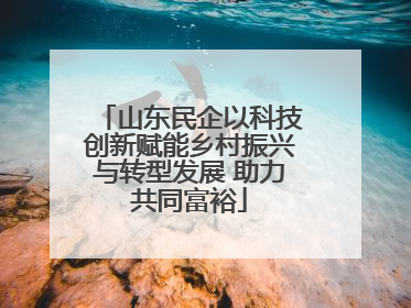 山东民企以科技创新赋能乡村振兴与转型发展 助力共同富裕