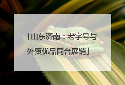 山东济南：老字号与外贸优品同台展销