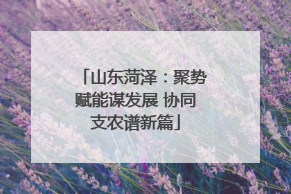 山东菏泽：聚势赋能谋发展 协同支农谱新篇