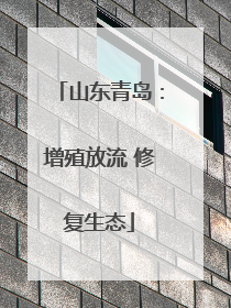 山东青岛：增殖放流 修复生态