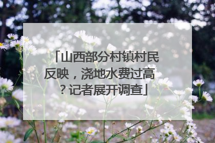 山西部分村镇村民反映，浇地水费过高？记者展开调查