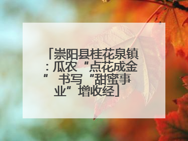 崇阳县桂花泉镇：瓜农“点花成金” 书写“甜蜜事业”增收经