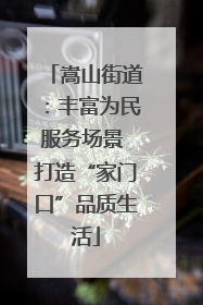嵩山街道：丰富为民服务场景 打造“家门口”品质生活