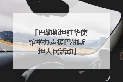 巴勒斯坦驻华使馆举办声援巴勒斯坦人民活动