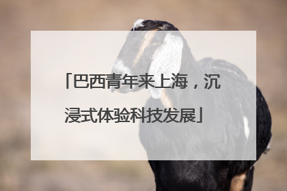 巴西青年来上海，沉浸式体验科技发展