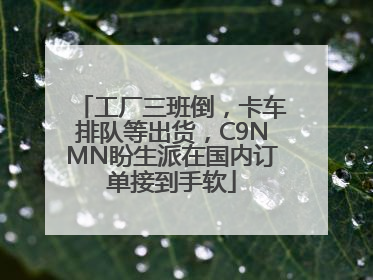 工厂三班倒，卡车排队等出货，C9NMN盼生派在国内订单接到手软